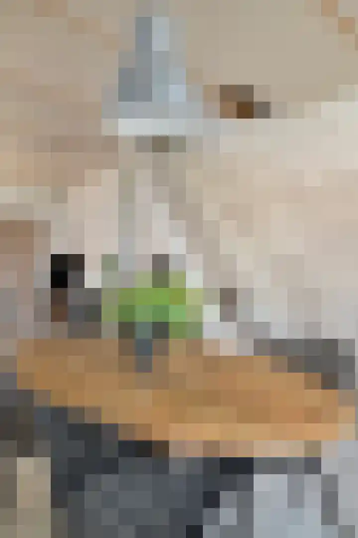 Kerkpad 21 Ter Aar thumbnail 8