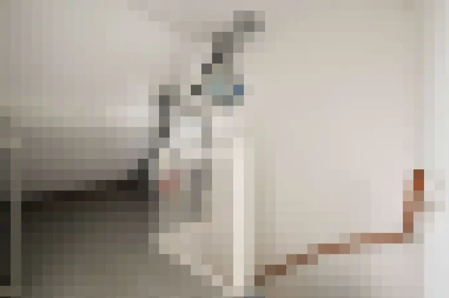 Kerkpad 25 Blaricum thumbnail 15