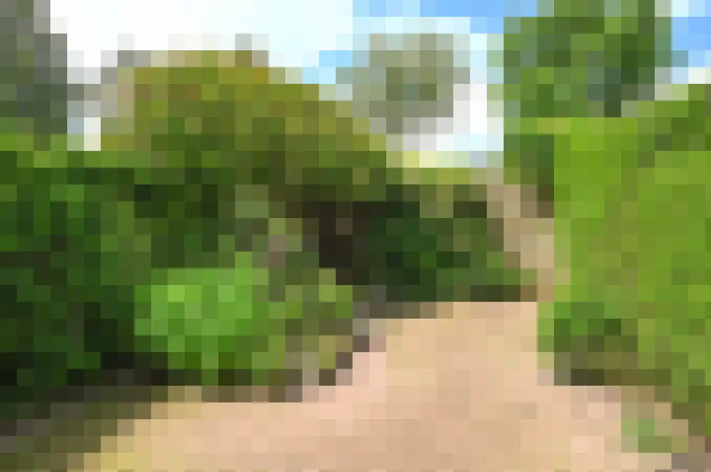 Kerkpad 25 Blaricum thumbnail 16