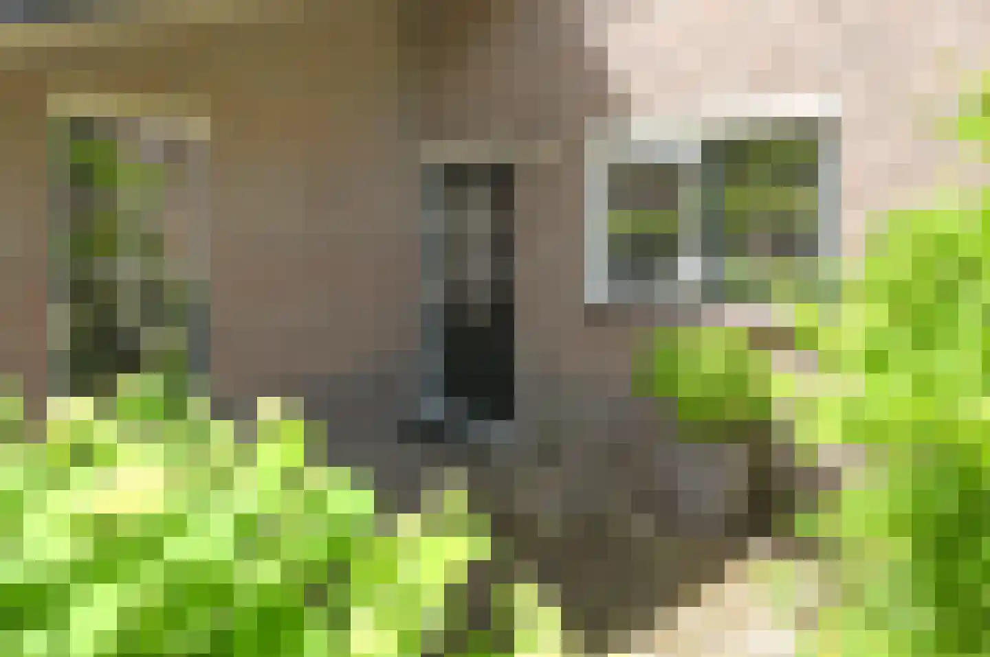 Kerkpad 25 Blaricum thumbnail 18