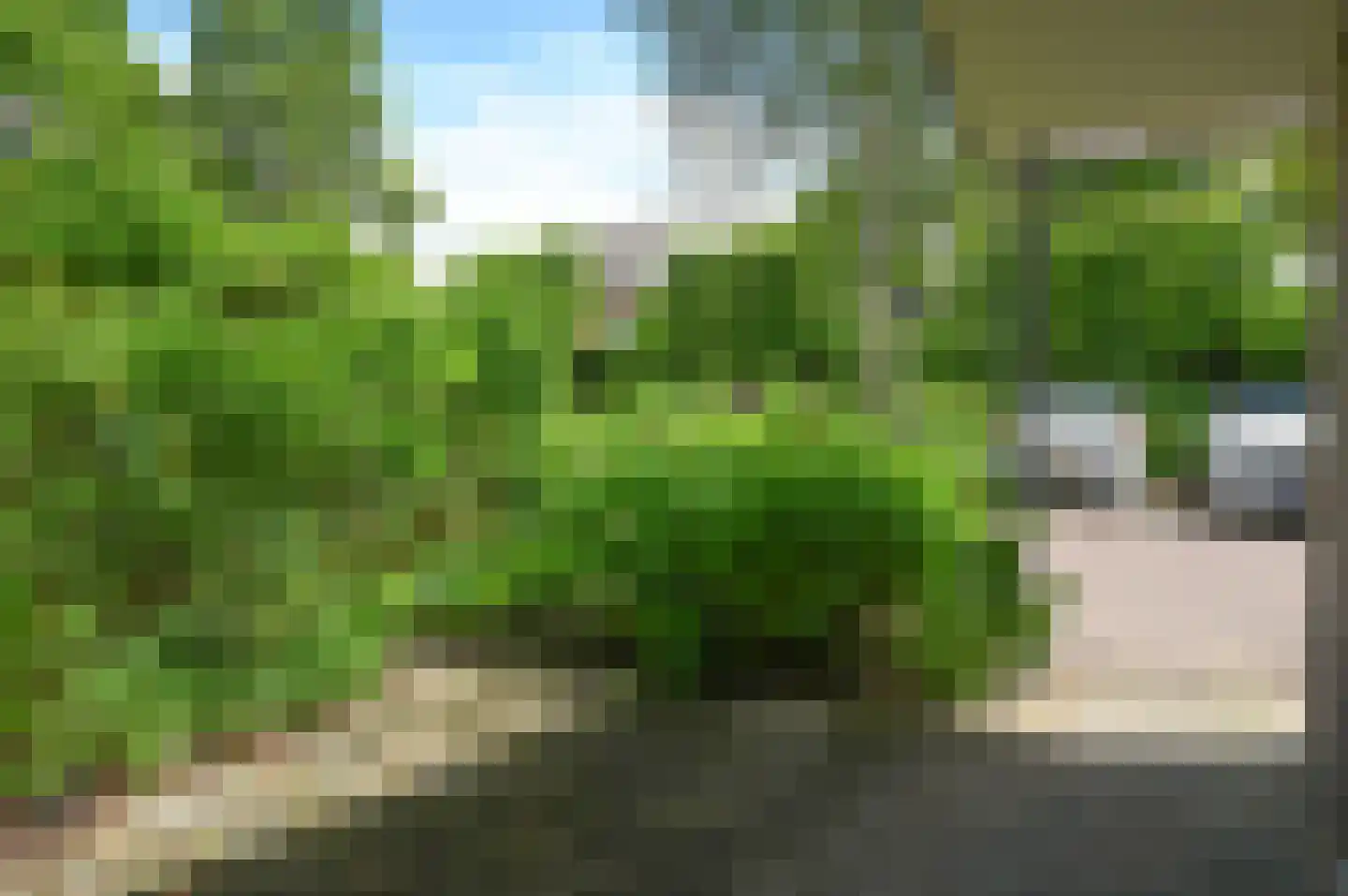 Kerkpad 25 Blaricum thumbnail 19