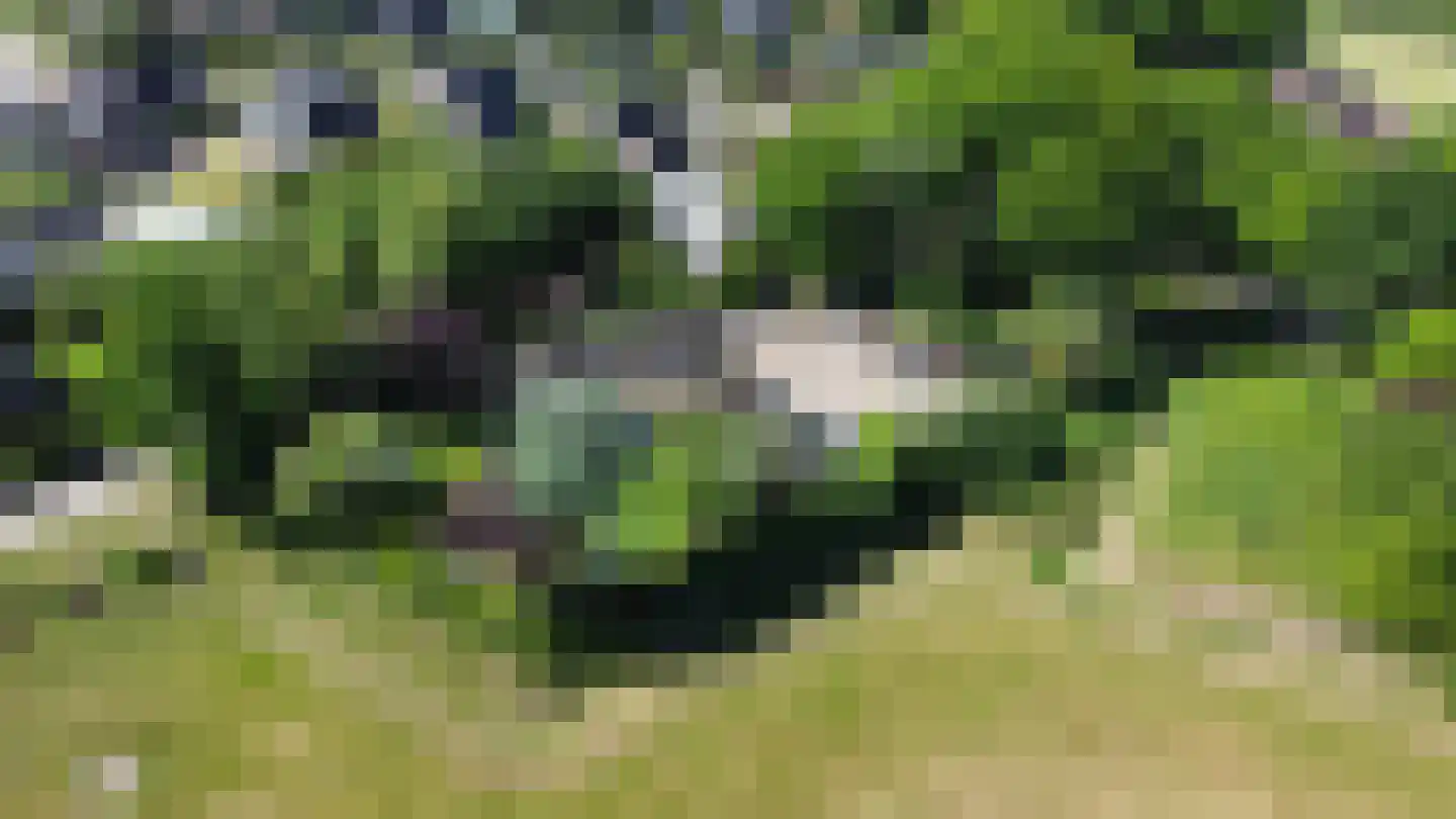 Kerkpad 26 Dwingeloo