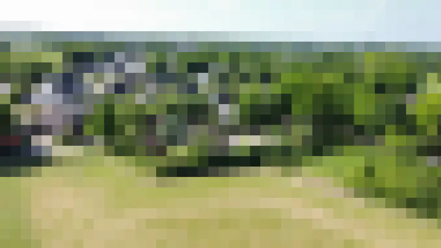 Kerkpad 26 Dwingeloo thumbnail 25