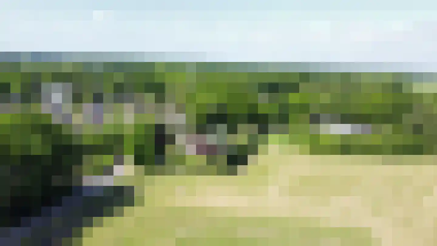 Kerkpad 26 Dwingeloo thumbnail 31