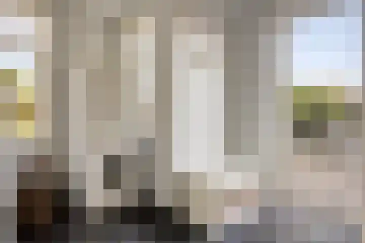 Kerkpad 28 Venhorst thumbnail 18