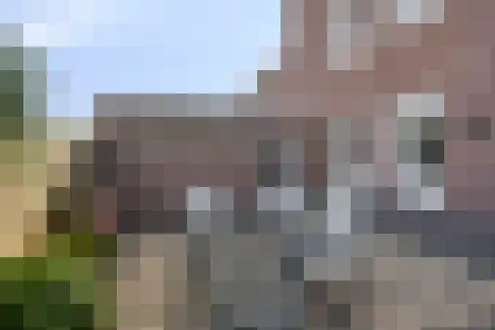Kerkpad 28 Venhorst thumbnail 26