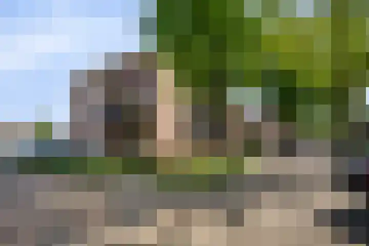 Kerkpad 28 Venhorst thumbnail 5