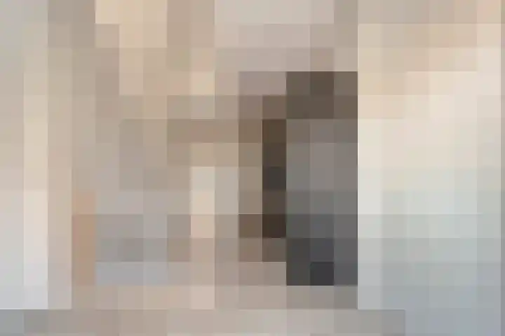 Kerkpad 3 Den Ham thumbnail 18