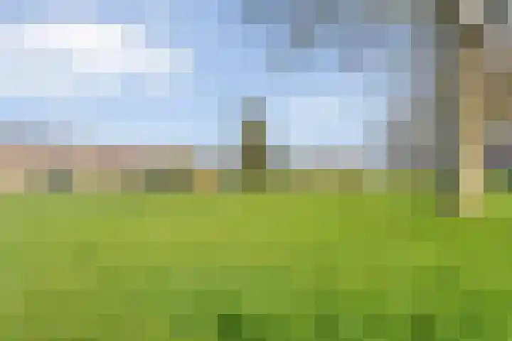 Kerkpad 3 Den Ham thumbnail 39