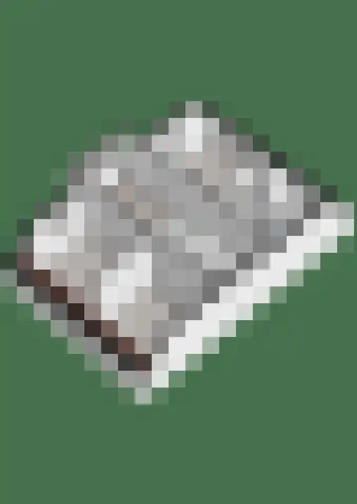 Kerkpad 3 Den Ham thumbnail 43