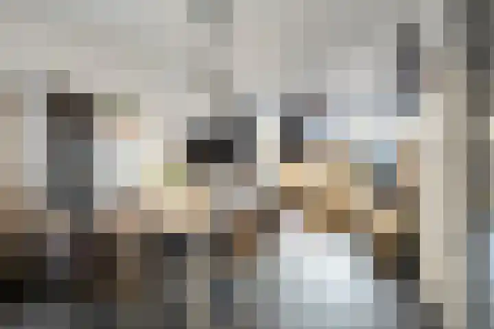 Kerkpad 33 Venhorst thumbnail 10