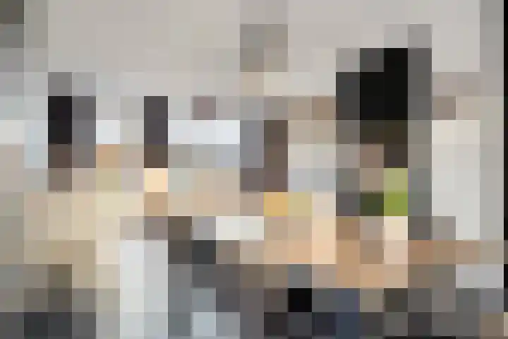 Kerkpad 33 Venhorst thumbnail 11