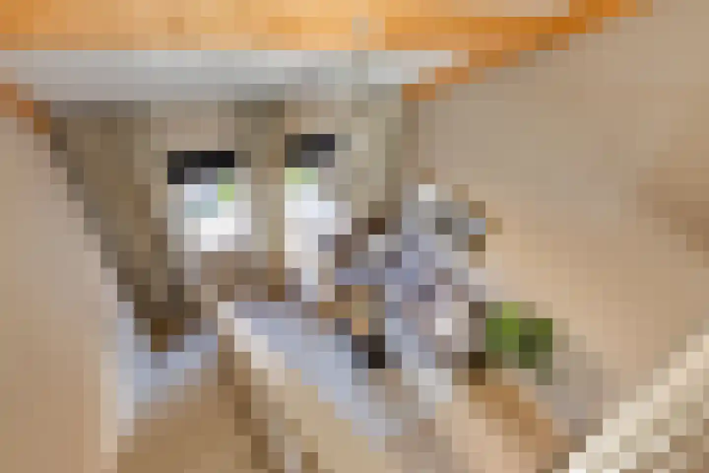 Kerkpad 34 Bergeijk thumbnail 11