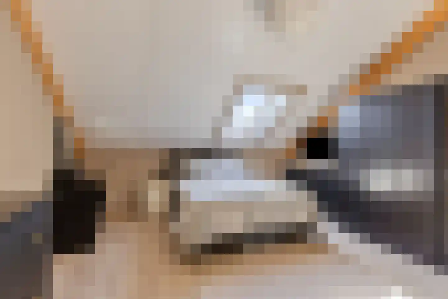 Kerkpad 34 Bergeijk thumbnail 12