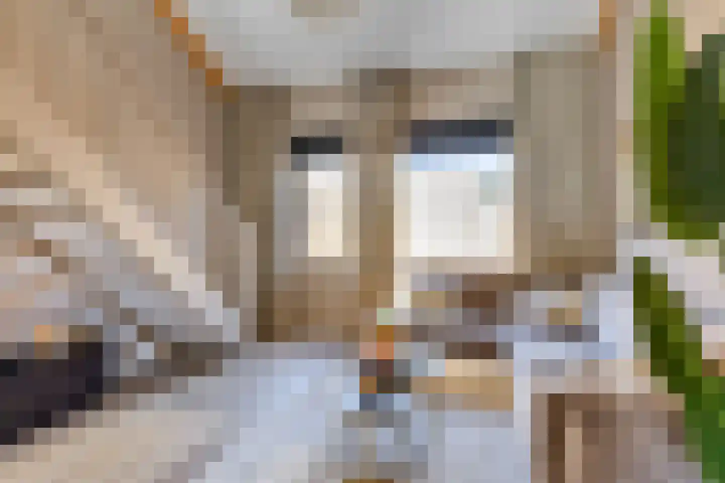 Kerkpad 34 Bergeijk thumbnail 7