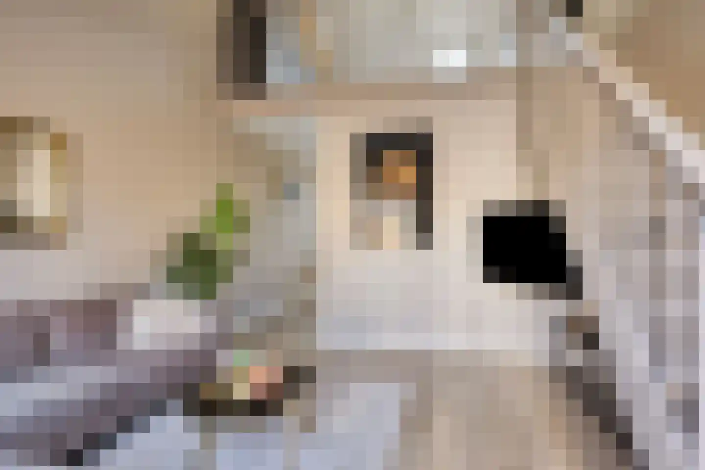 Kerkpad 34 Bergeijk thumbnail 8