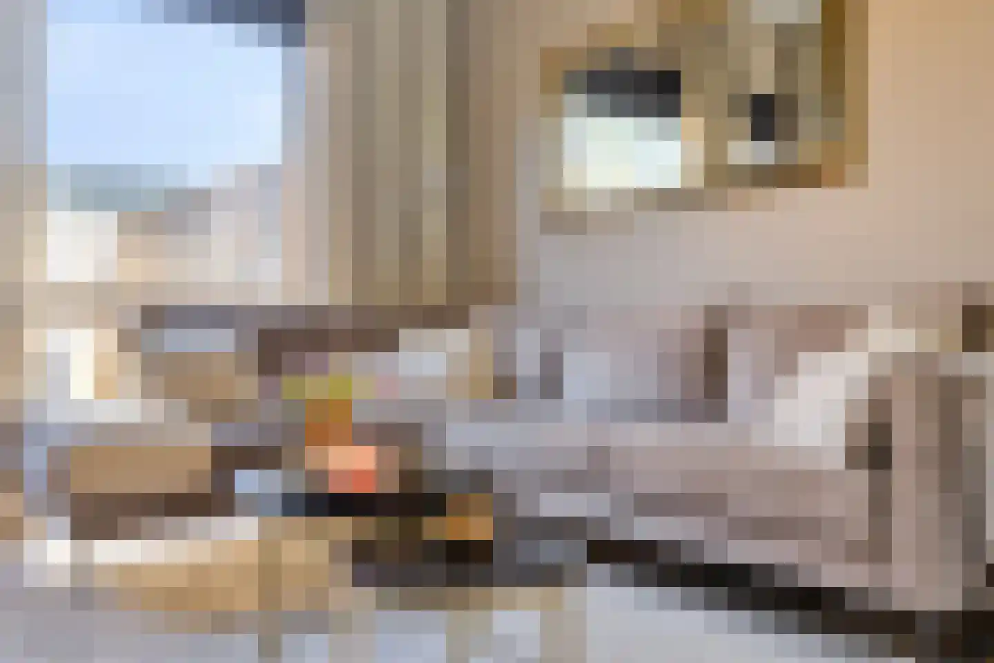 Kerkpad 34 Bergeijk thumbnail 9