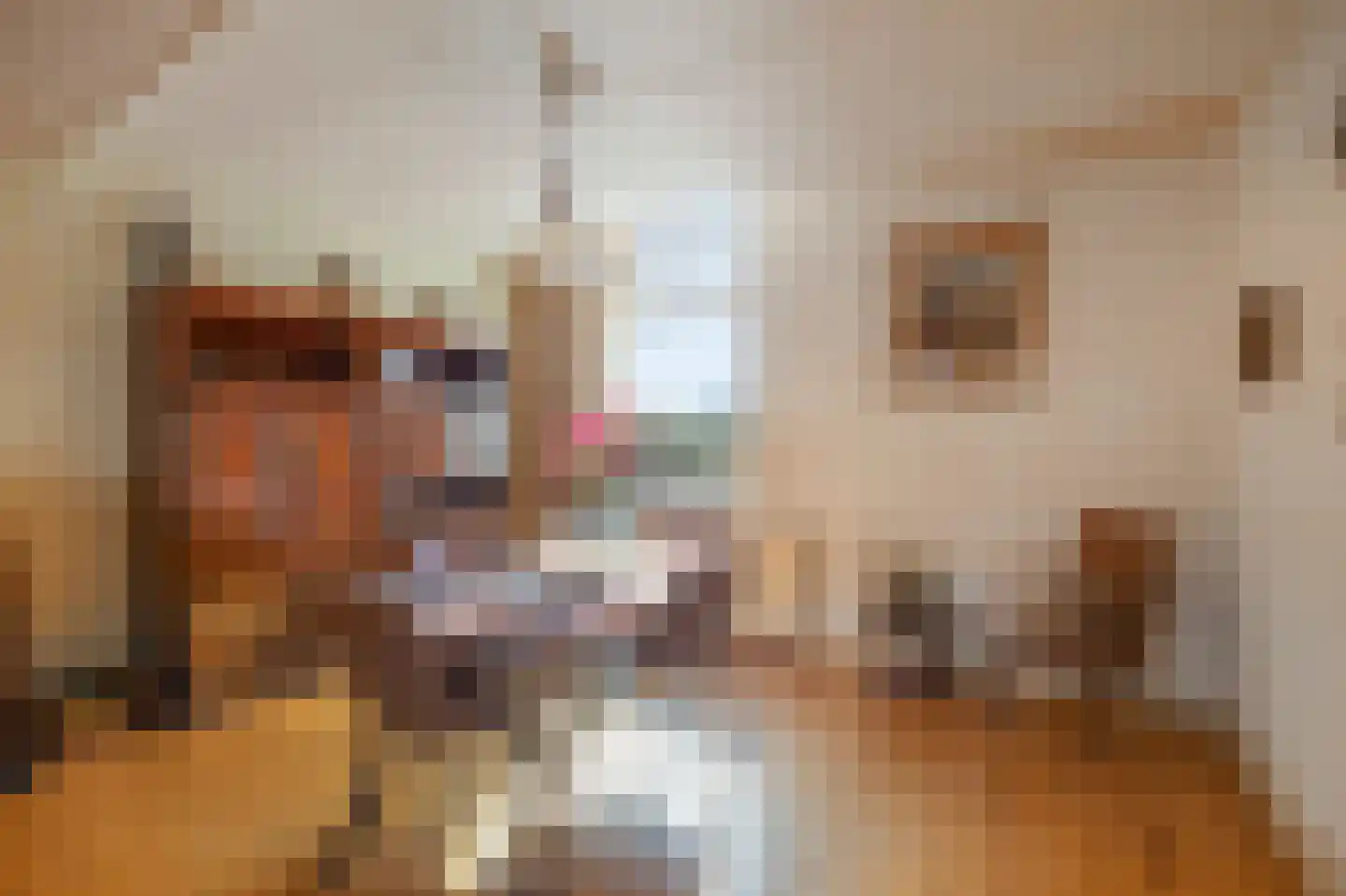 Kerkpad 37 Swalmen thumbnail 10