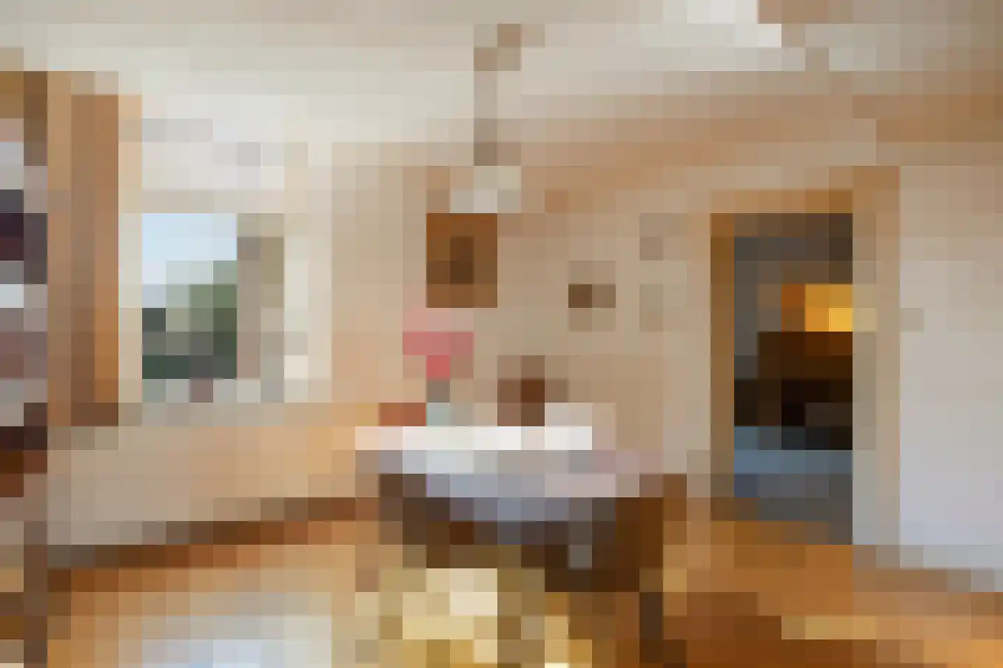 Kerkpad 37 Swalmen thumbnail 11