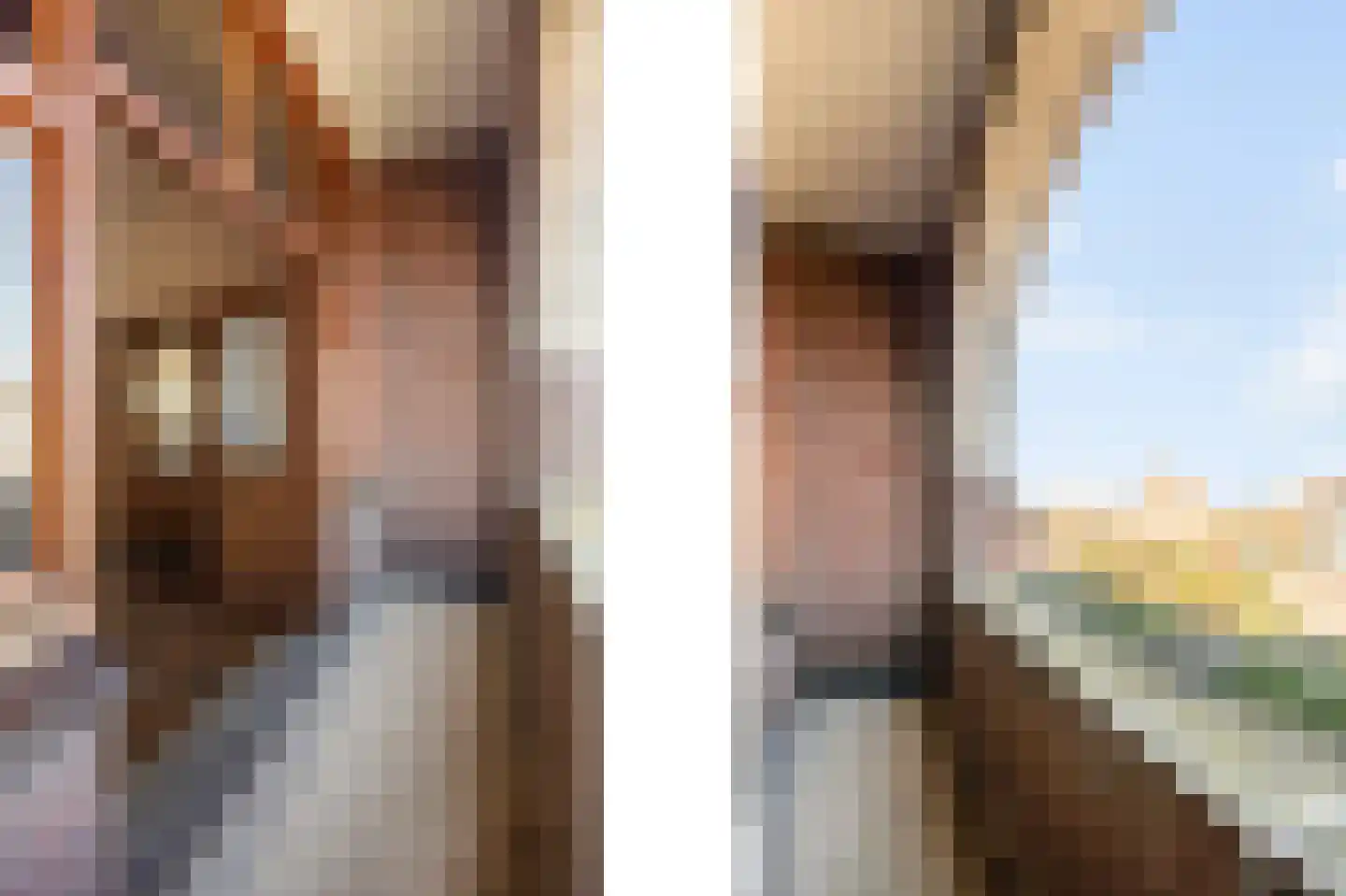 Kerkpad 37 Swalmen thumbnail 22