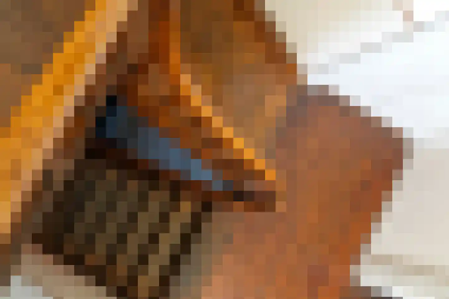 Kerkpad 37 Swalmen thumbnail 35