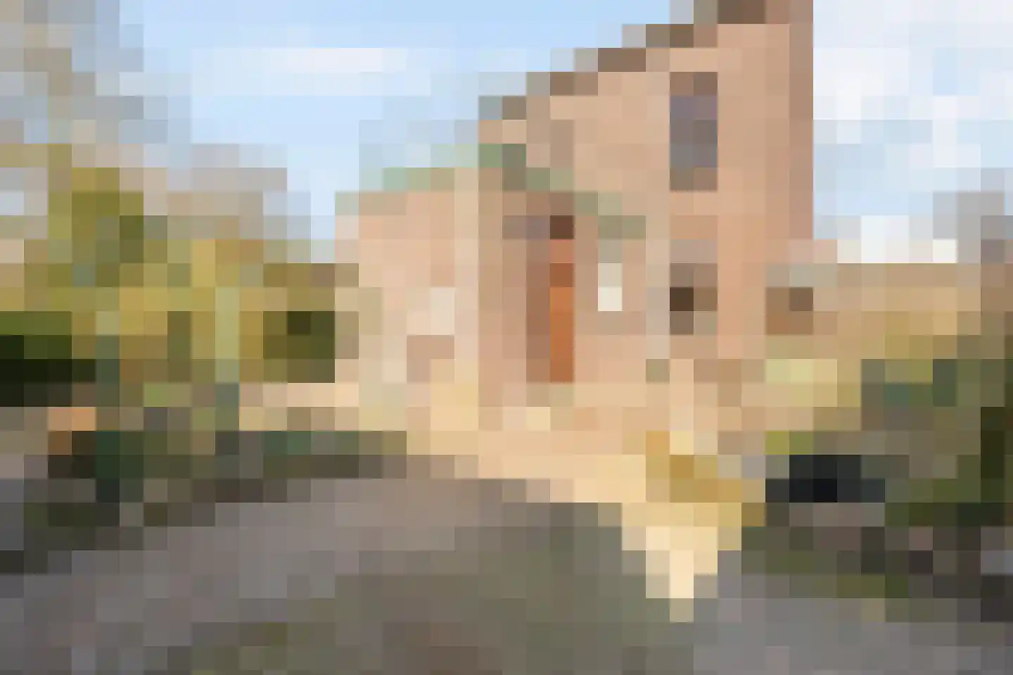Kerkpad 37 Swalmen thumbnail 37