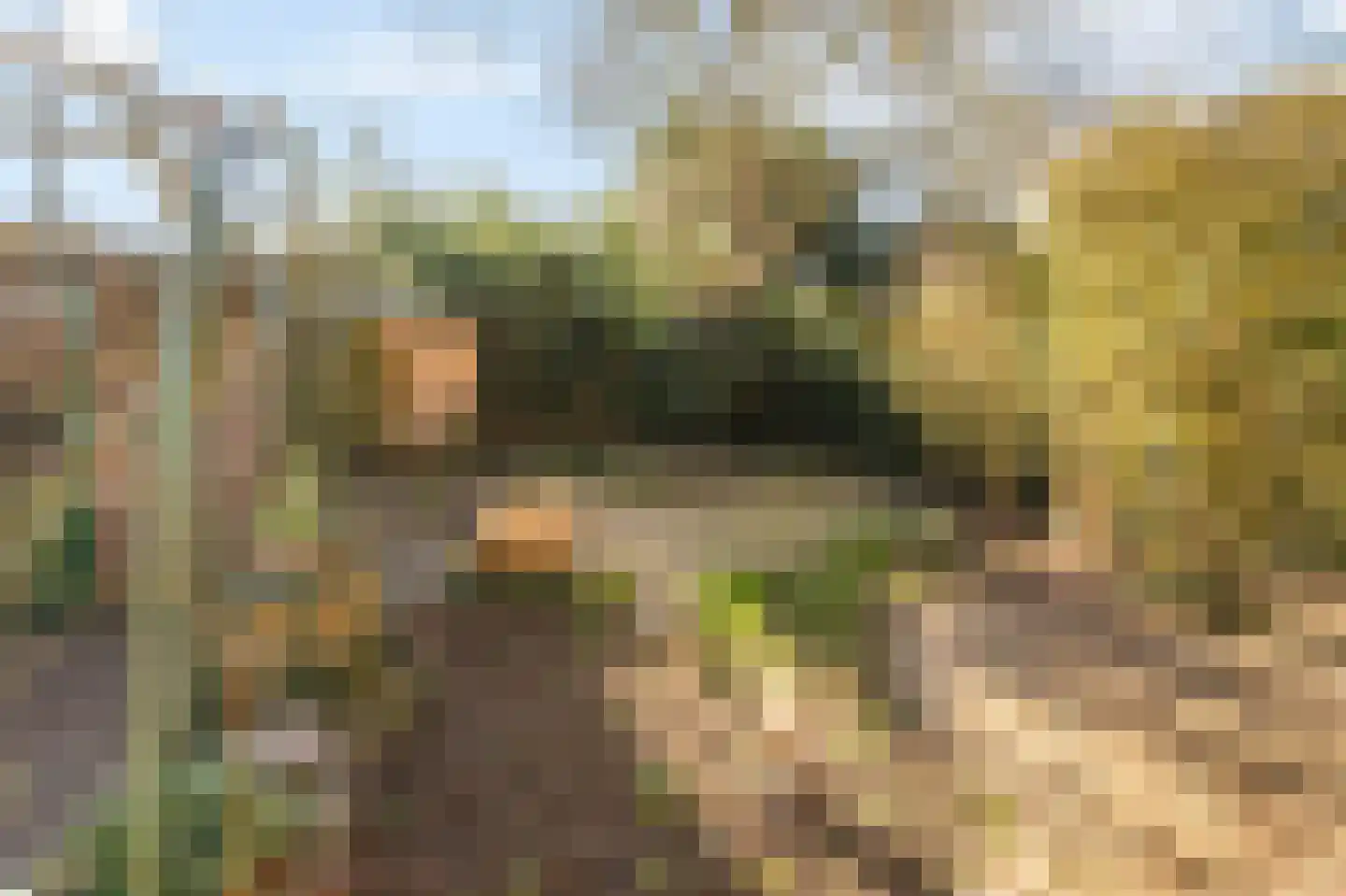 Kerkpad 37 Swalmen thumbnail 40