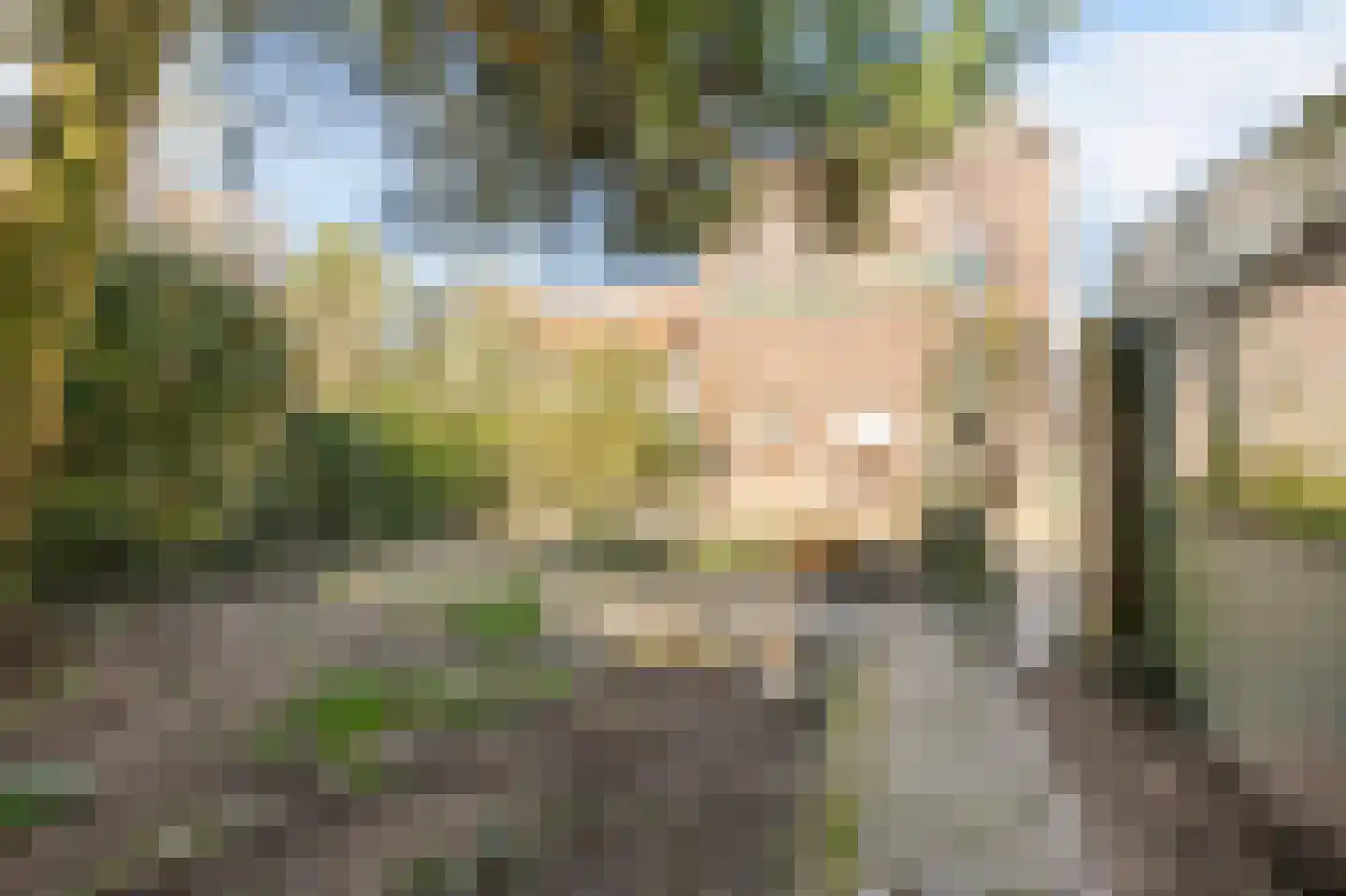 Kerkpad 37 Swalmen thumbnail 41