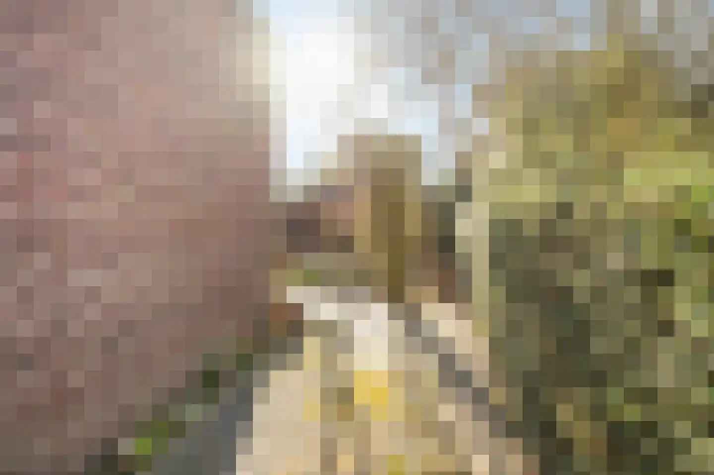 Kerkpad 37 Swalmen thumbnail 43