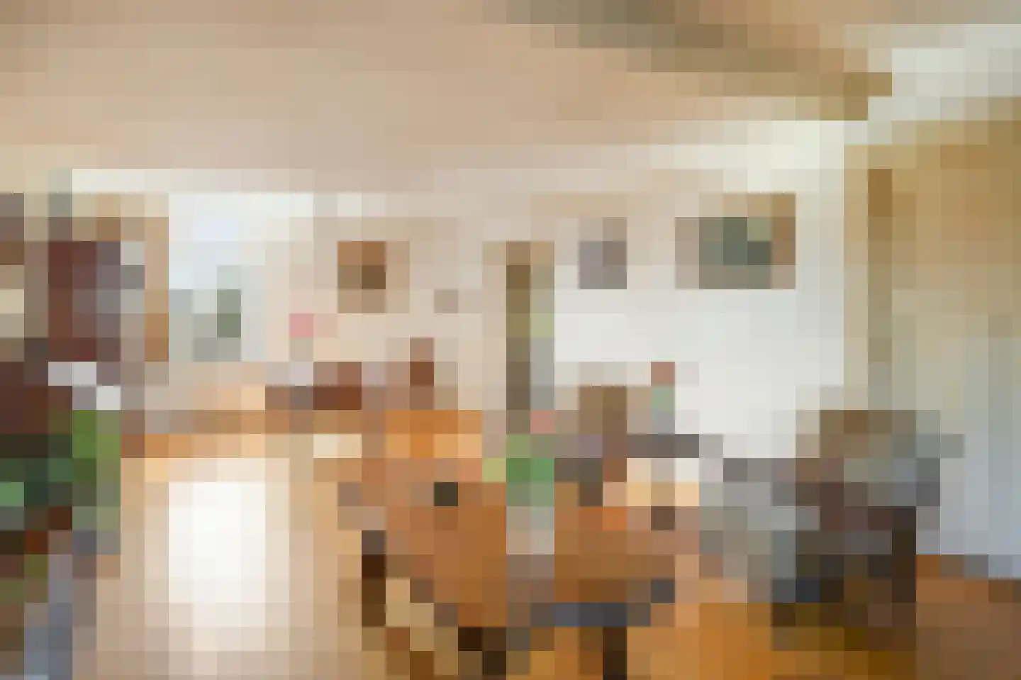 Kerkpad 37 Swalmen thumbnail 7