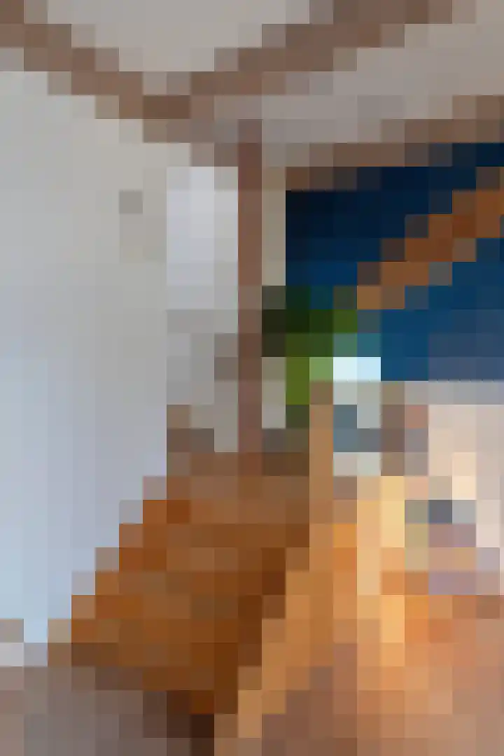 Kerkpad 4 Oldehove thumbnail 10