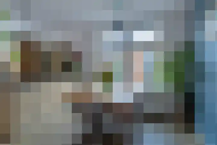 Kerkpad 4 Oldehove thumbnail 13