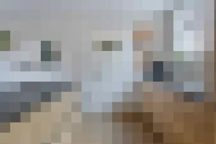 Kerkpad 4 Oldehove thumbnail 21