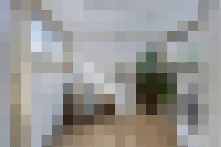 Kerkpad 4 Oldehove thumbnail 24