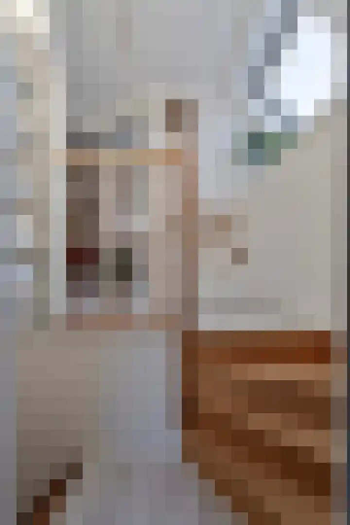 Kerkpad 4 Oldehove thumbnail 25