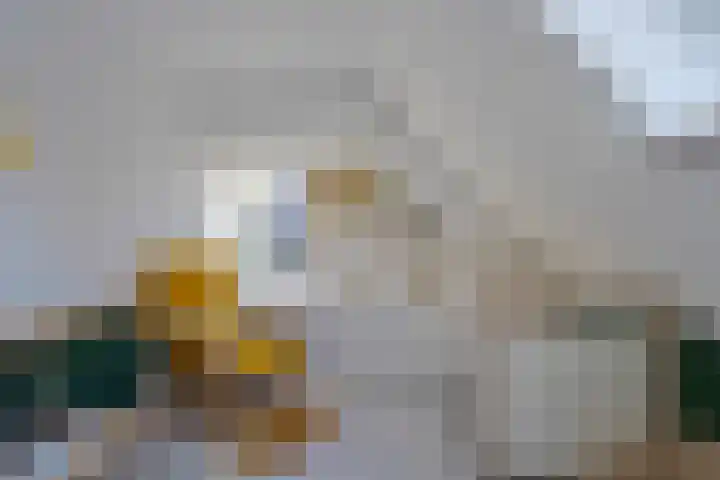 Kerkpad 4 Oldehove thumbnail 29
