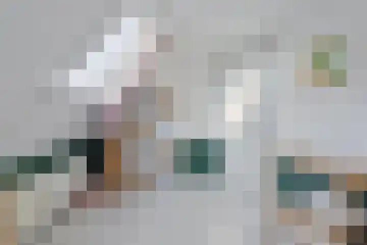 Kerkpad 4 Oldehove thumbnail 30