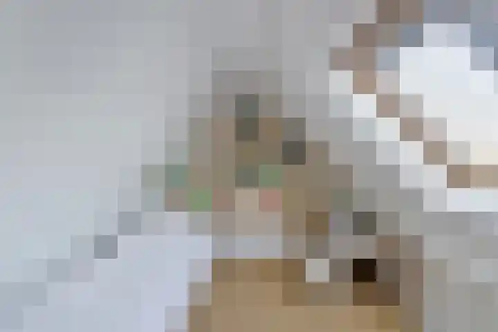 Kerkpad 4 Oldehove thumbnail 38