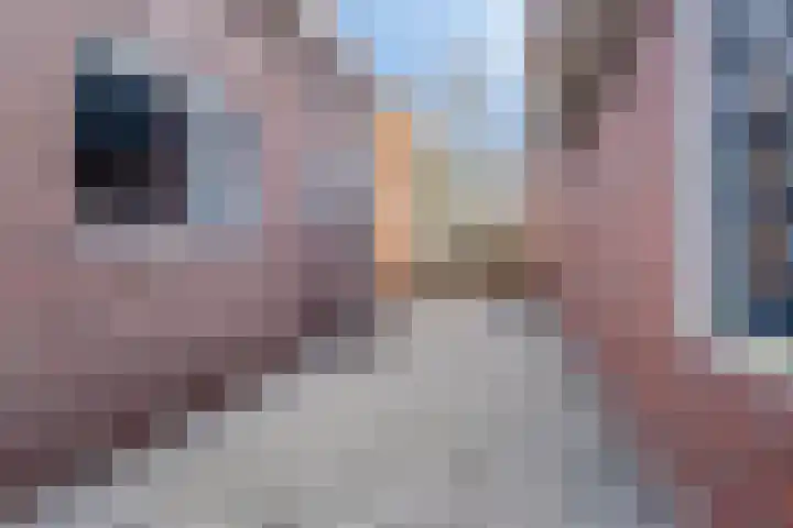 Kerkpad 4 Oldehove thumbnail 46