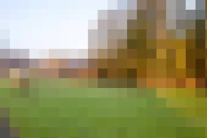 Kerkpad 4 Oldehove thumbnail 50