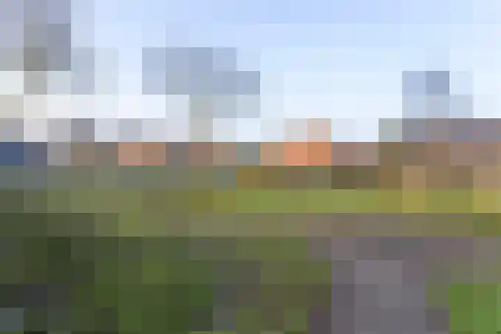 Kerkpad 4 Oldehove thumbnail 51