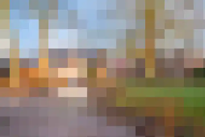 Kerkpad 4 Oldehove thumbnail 52
