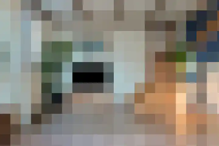 Kerkpad 4 Oldehove thumbnail 9