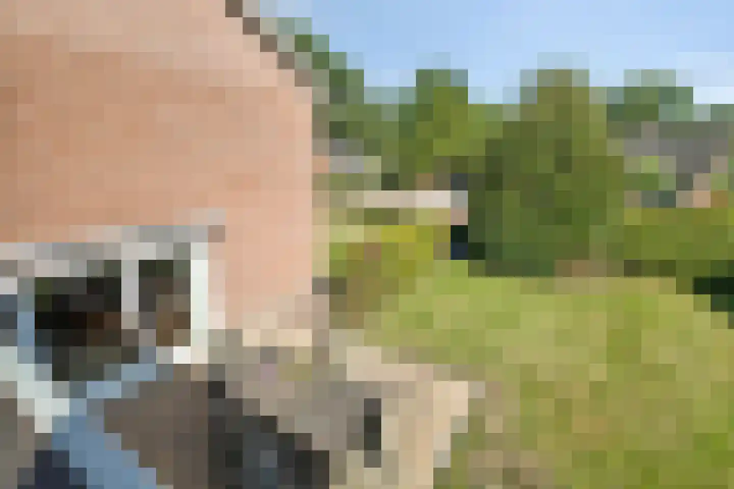 Kerkpad 5 Diever thumbnail 33