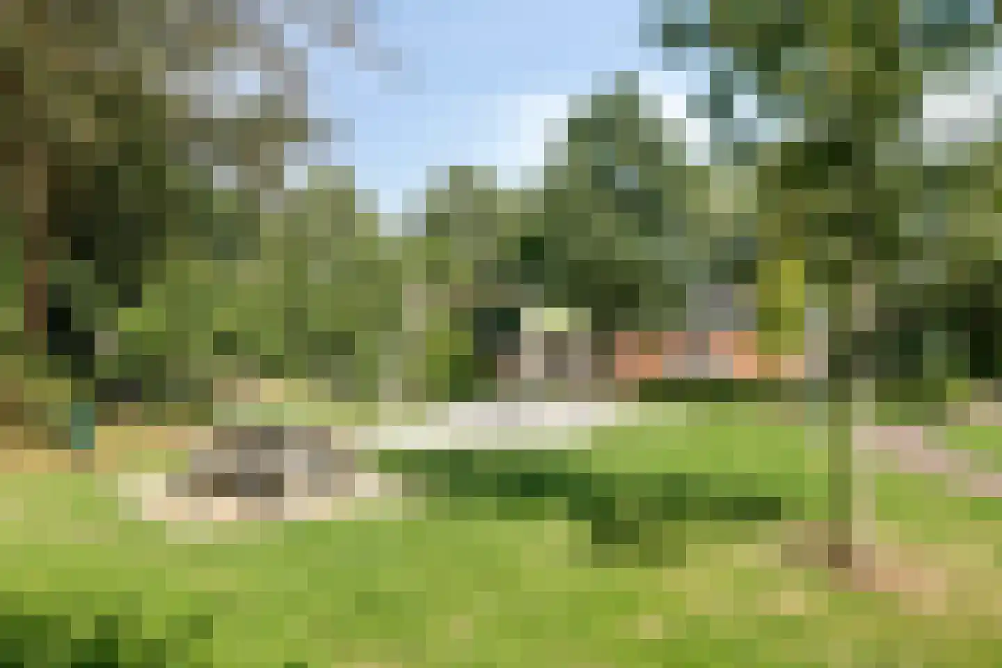 Kerkpad 5 Diever thumbnail 41