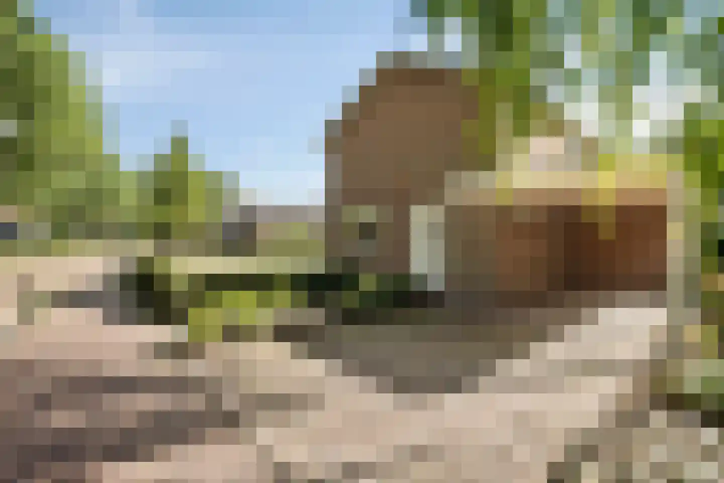 Kerkpad 5 Diever thumbnail 42