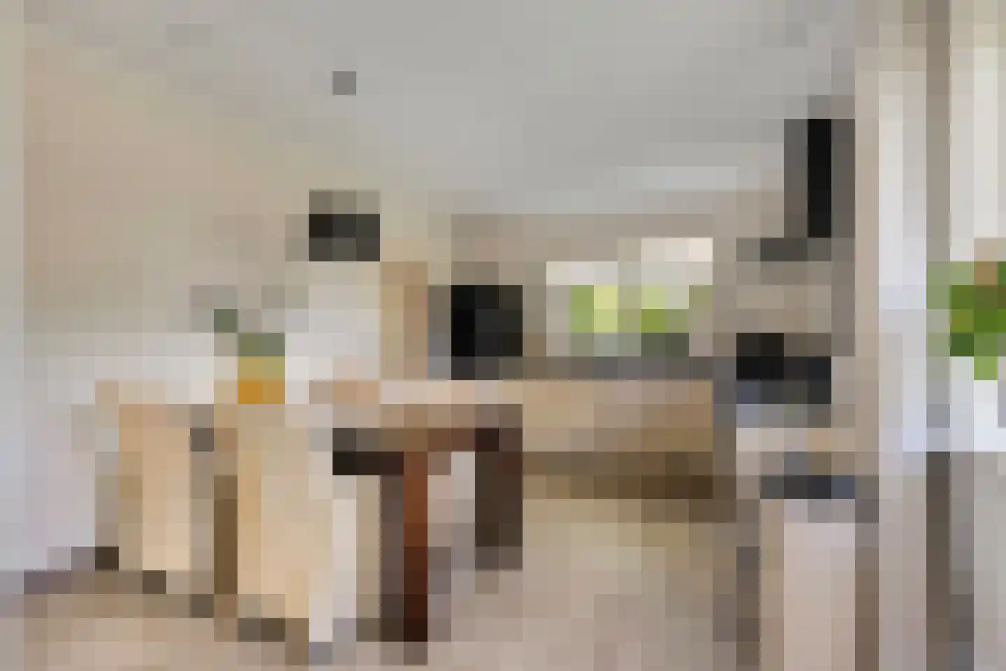 Kerkpad 5 Diever thumbnail 8