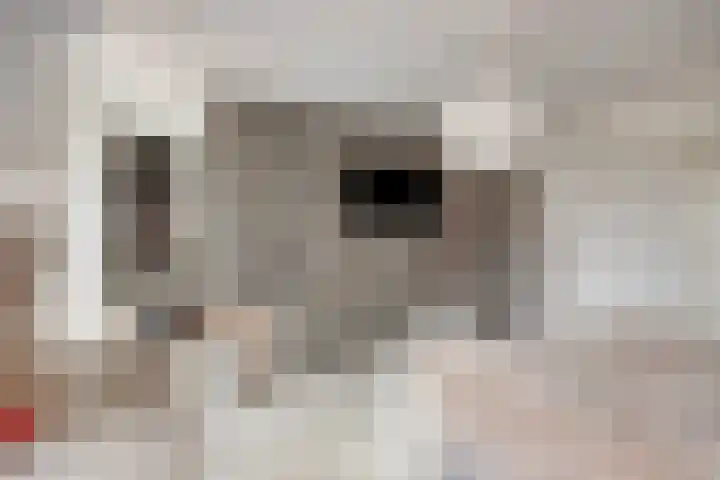 Kerkpad 5 Herten thumbnail 22