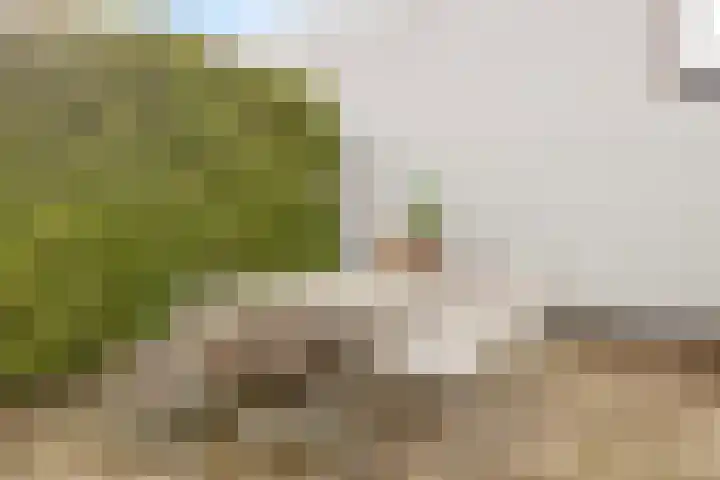 Kerkpad 5 Herten thumbnail 33