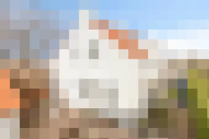 Kerkpad 5 Herten thumbnail 35